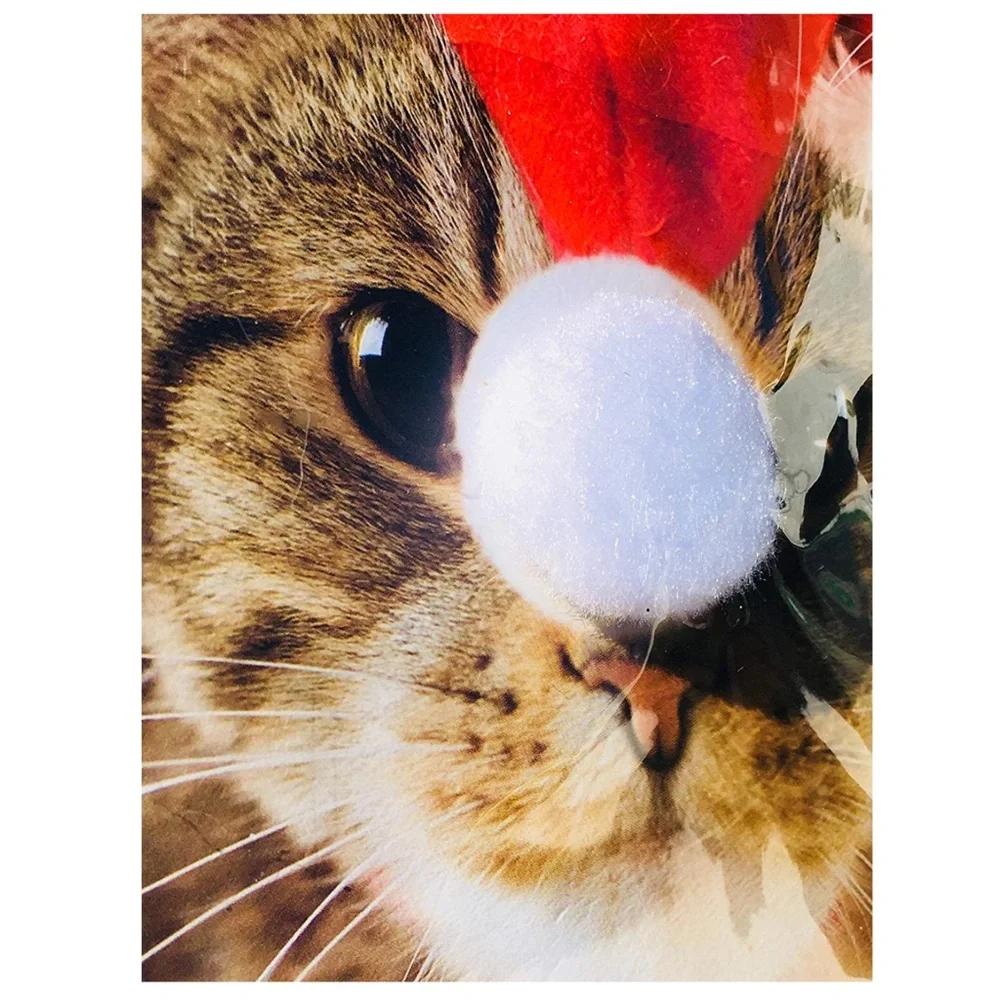 Kitten 3D Pom Pom Santa Hat Small Christmas Gift Bag